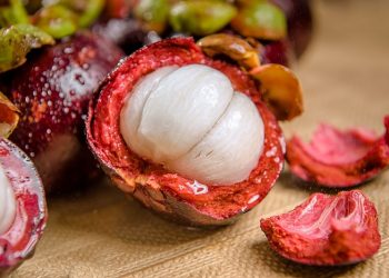 Bentuk yang Eksotis, Keunggulan Buah Manggis Ada Pada Kulitnya