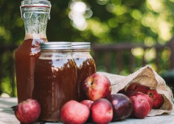 Ekstraktor Jus Dapat Memisahkan Ampas dan Sari Buah