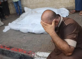 Serangan Israel Menggugurkan 10 Warga Suriah di Lebanon dan 15 Anggota Keluarga di Gaza