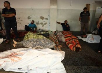 Israel Membunuh Tiga Keluarga Palestina Dalam Serangan Brutal di Sekolah Gaza