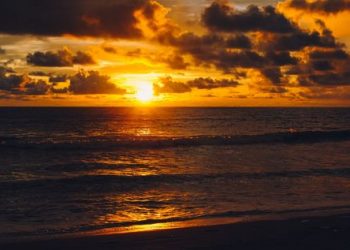 Kisah Budak Rumahan dan Budak Ladang (1)