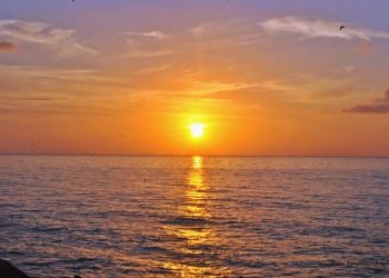 Kisah Budak Rumahan dan Budak Ladang (2)