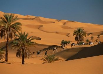 Yarmuk, dan Hari-hari Kita Kini yang Penuh Kecamuk