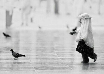 Menghidupkan Budaya Tabayyun