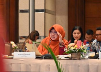 Rapat Dengan Himbara dan BPD Bali, Anis Soroti Data Terpadu dan Kualitas SDM UMKM