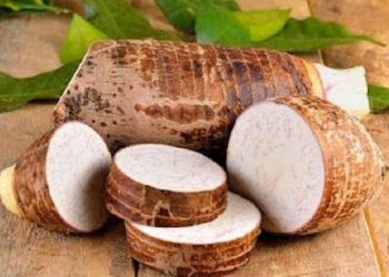 Manfaat Singkong untuk Kesehatan Wajah