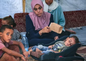 Pengusiran Paksa Israel Menghambat Vaksinasi Polio di Gaza