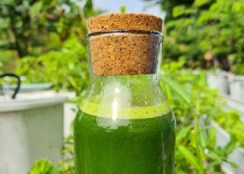 Jus Sawi dan Nanas Dapat Menyembuhkan Penyakit Sembelit