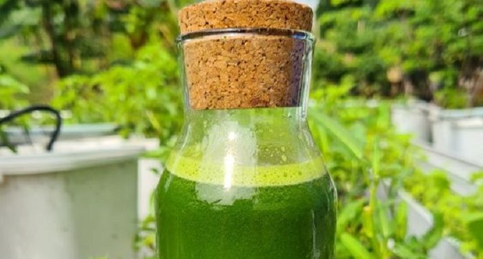 Jus Sawi dan Nanas Dapat Menyembuhkan Penyakit Sembelit