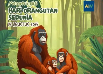 Hari Orangutan Sedunia Diperingati Setiap Tanggal 19 Agustus