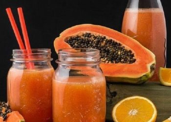 Jus Jeruk dan Pepaya Dapat Melancarkan Fungsi Kerja Lambung