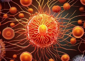 Kemenkes RI Mewajibkan Jemaah Umroh untuk Vaksinasi Meningitis