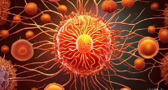 Kemenkes RI Mewajibkan Jemaah Umroh untuk Vaksinasi Meningitis