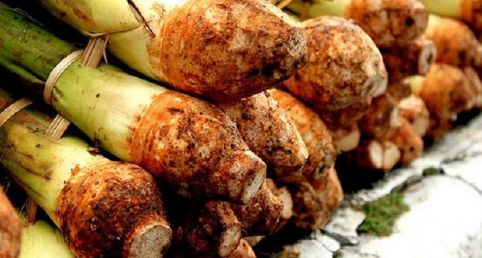 Ketahui, Manfaat Talas untuk Kesehatan Kulit