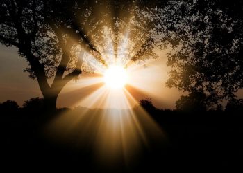 Beberapa Langkah untuk Mengatasi Hiperpigmentasi