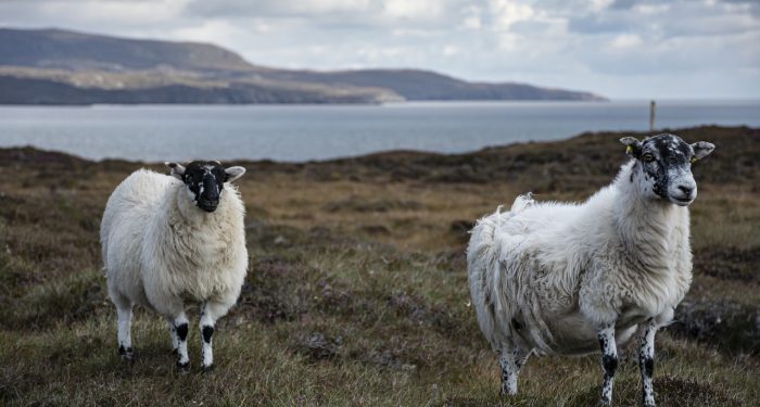 Perusak Agama dan Masyarakat (3)