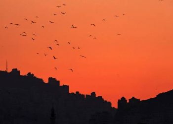 Hukum Internasional: Palestina Memiliki Hak untuk Mempertahankan Dirinya