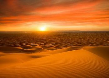 Kekasih Rasulullah (2)