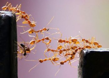 Bahkan, Hal-hal Kecil Pun Ada Banyak Maknanya