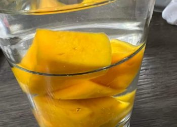 Makan Malam yang Nikmat