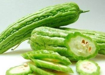 Ketahui Manfaat Pare untuk Kecantikan Kulit