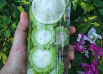 Jus Pare Berguna Untuk Perawatan Kulit