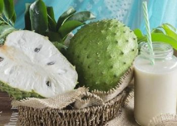 Jus Sirsak dan Melon Dapat Melindungi Tubuh dari Radikal Bebas
