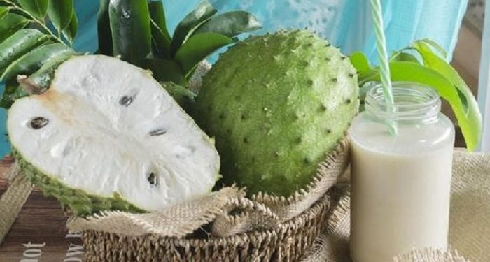 Jus Sirsak dan Melon Dapat Melindungi Tubuh dari Radikal Bebas