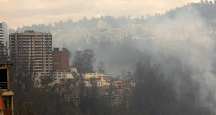 Ekuador Alami Kebakaran Hutan hingga Kekeringan yang Meluas