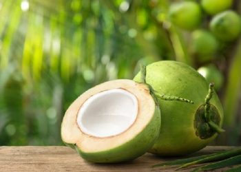 Ketahui Manfaat Buah Kelapa untuk Kecantikan Wajah