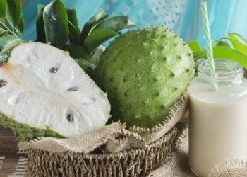 Jus Sirsak dan Pepaya Berfungsi Sebagai Antitumor