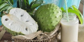 Jus Sirsak dan Pepaya Berfungsi Sebagai Antitumor