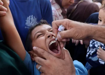 PBB Berencana Menambahkan Nutrisi Putaran Kedua Vaksinasi Polio di Gaza