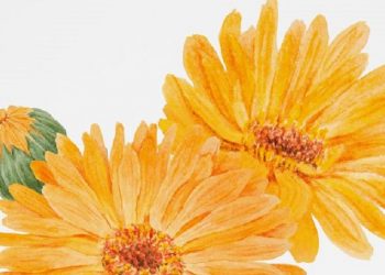 Sesuai Jenis Kulit, Berikut Empat Cara Memilih Produk Eksfoliasi