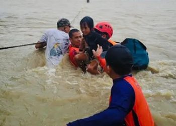 Siap Menghadapi Topan Bebinca, Shanghai Tutup Jalur Transportasi Udara, Laut hingga Darat