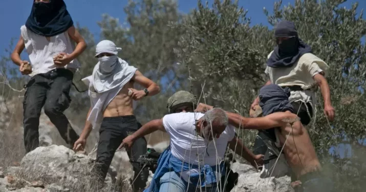 Pemukim Bersenjata Menyerang Warga Palestina Pada Hari Pertama Panen Zaitun