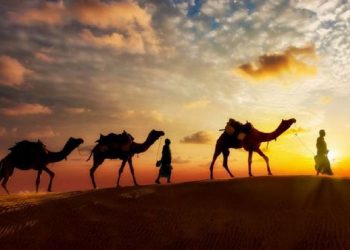 Jangan Merasa Tidak Pantas Berjuang, Ada Abu Mihjan (1)