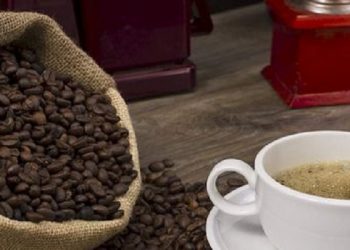Arabika Gayo dari Tanah Aceh jadi Biji Kopi Terbaik di Asia Versi Taste Atlas 2024