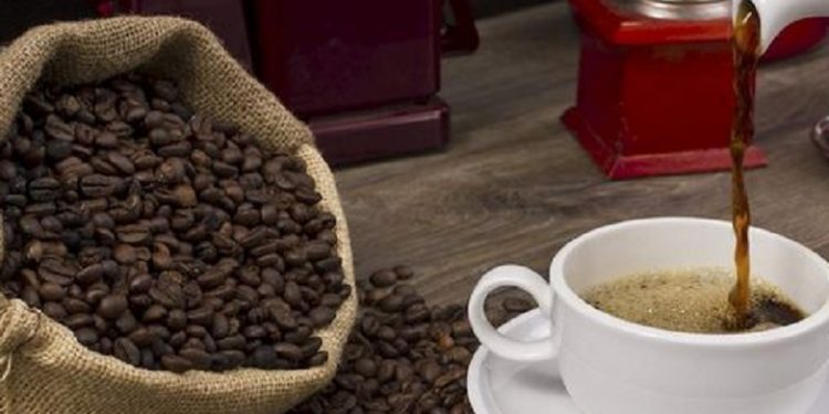 Arabika Gayo dari Tanah Aceh jadi Biji Kopi Terbaik di Asia Versi Taste Atlas 2024