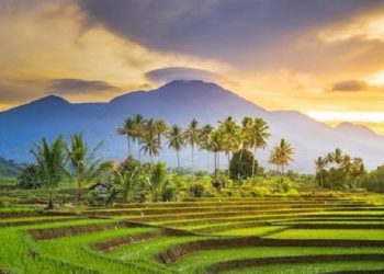 Kodrat Manusia Tidak Pernah Merasa Puas dalam Menjalani Hidup