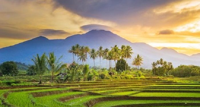 Kodrat Manusia Tidak Pernah Merasa Puas dalam Menjalani Hidup