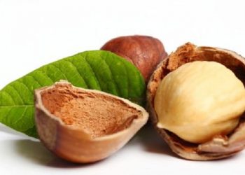 Simak Manfaat Kacang Hazel untuk Kesehatan Kulit