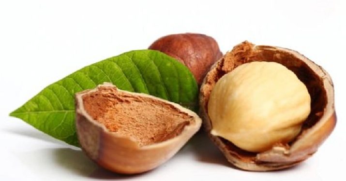 Simak Manfaat Kacang Hazel untuk Kesehatan Kulit
