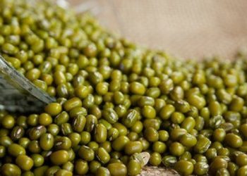 Cara Menggunakan Kacang Hijau untuk Perawatan Kulit