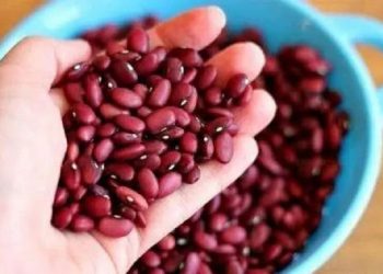 Tips Membuat Masker Wajah dari Bahan Kacang Merah