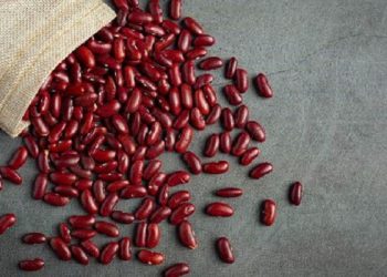 Bikin Awet Muda, Kacang Merah Bermanfaat Bagi Kecantikan Kulit