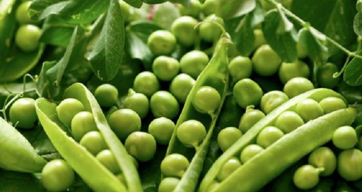 Simak Manfaat Kacang Polong untuk Kecantikan