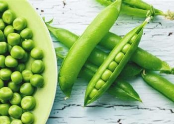 Cara Membuat Masker Wajah dari Kacang Polong untuk Kulit Bercahaya