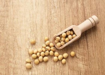 Tips Memakai Masker Kacang Kedelai untuk Wajah