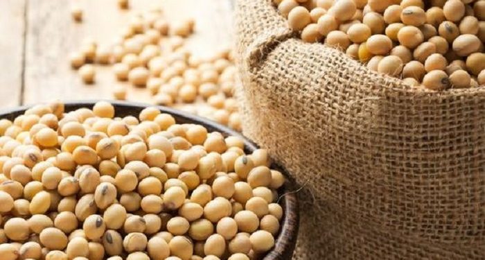 Simak Manfaat Kacang Kedelai untuk Kecantikan Kulit